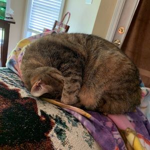 Meet your Posher, Scott